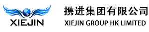 XIE JIN GROUP HK LIMITED